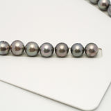 37pcs Gray 11-12mm - SR/NR AAA Quality Tahitian Pearl Necklace NL1560 A101