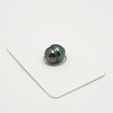 1pcs "High Luster" Peacock 9.7mm - CL AAA Quality Tahitian Pearl Single LP2020 OR7