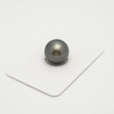 1pcs Dark 13.5mm - NR AA Quality Tahitian Pearl Single LP1925 A101