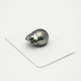 1pcs Dark 13mm - BQ AAA Quality Tahitian Pearl Single LP1805 TH1