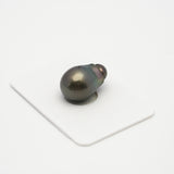 1pcs Dark Green 12.9mm - SB/BQ AAA/AA Quality Tahitian Pearl Single LP1806 TH1