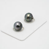 2pcs "High Luster" Green Mix 10.4mm - CL/SB AAA/AA Quality Tahitian Pearl Pair ER1410 OR7