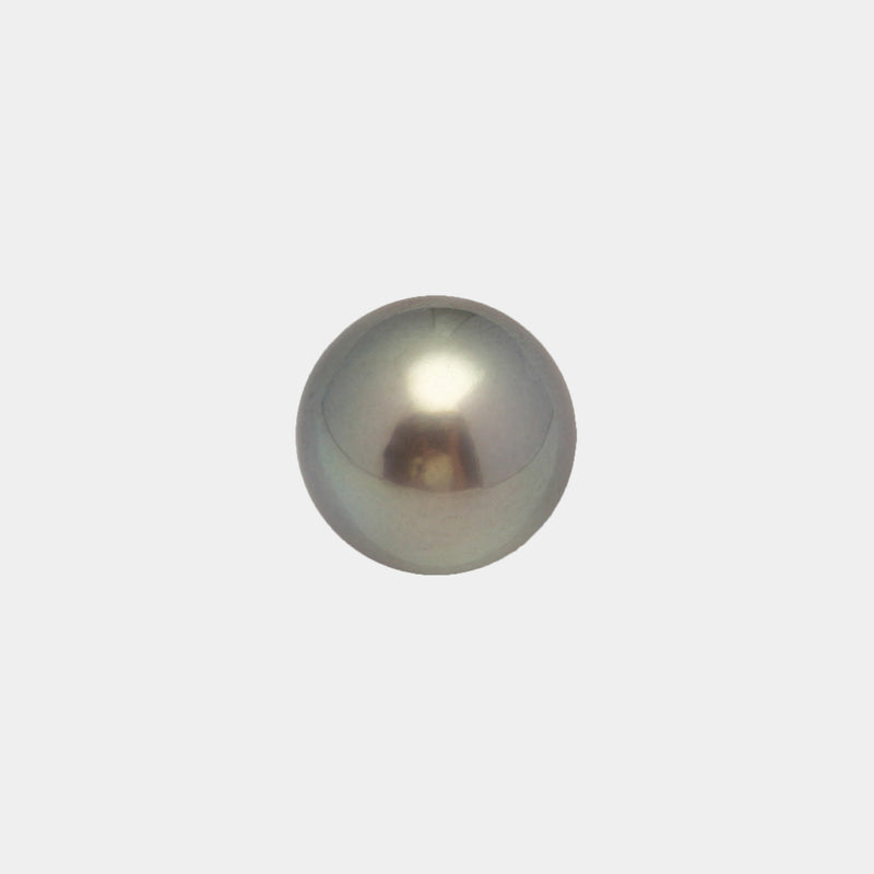 1pcs Light Green 12.2mm - SR/OV AAA/AA Quality Tahitian Pearl Single LP1917 A101