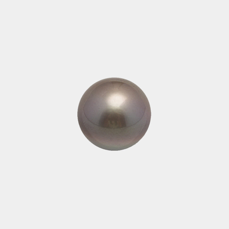 1pcs Brown 12.8mm - NR AAA Quality Tahitian Pearl Single LP1924 A101