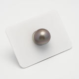 1pcs Brown 12.8mm - NR AAA Quality Tahitian Pearl Single LP1924 A101