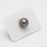 1pcs Purple 12mm - OV AAA/TOP Quality Tahitian Pearl Single LP1926 A101