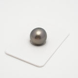 1pcs Gray 13.8mm - SR/NR AAA Quality Tahitian Pearl Single LP1927 A101