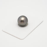 1pcs Gray 13.8mm - SR/NR AAA Quality Tahitian Pearl Single LP1927 A101