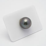 1pcs Gray 15.2mm - RSR AAA Quality Tahitian Pearl Single LP1774