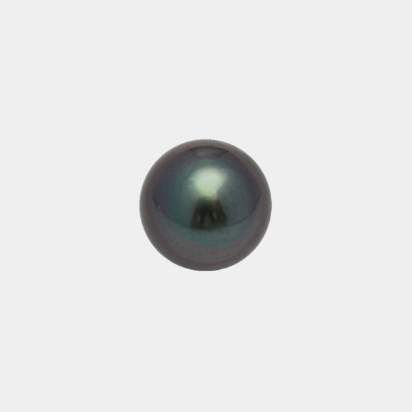 1pcs Dark Purple 11.1mm - SR/CL AA/AAA Quality Tahitian Pearl Single LP1735