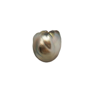 1pcs "High Luster" Brown Green 14.5mm - BQ TOP Quality Tahitian Pearl Single LP2556