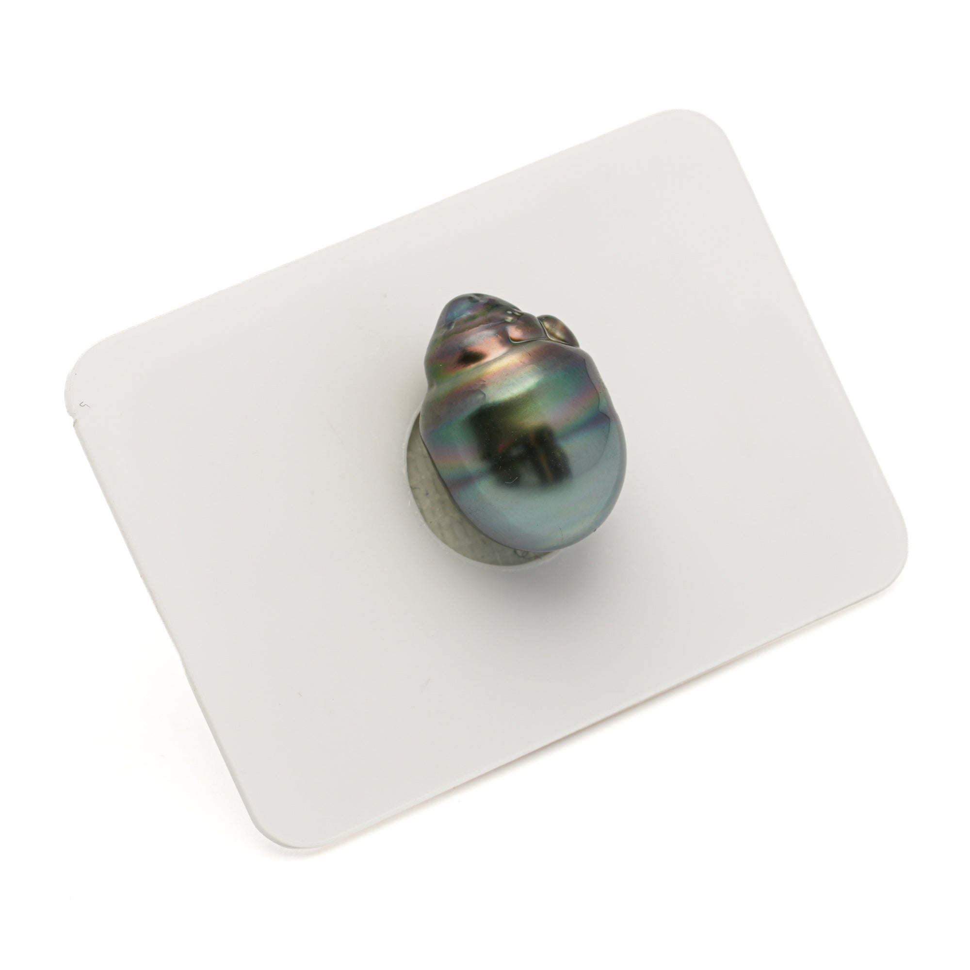 1pcs Green 11.8mm - SB/CL AAA/AA Quality Tahitian Pearl Single LP2572 LP3