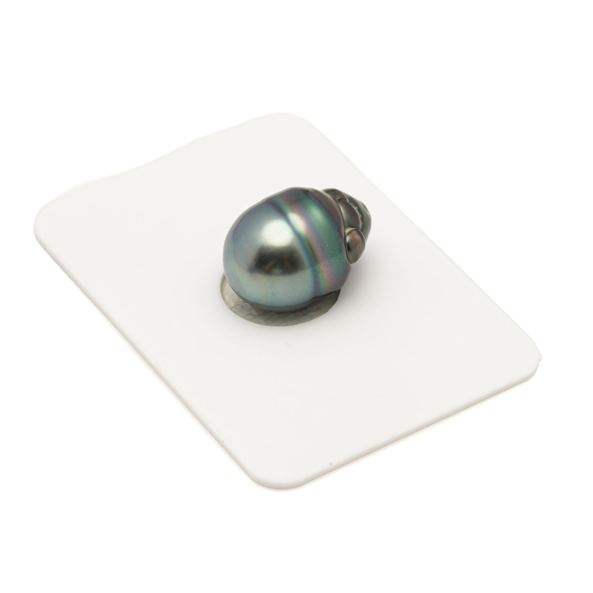 1pcs Green 11.8mm - SB/CL AAA/AA Quality Tahitian Pearl Single LP2572 LP3