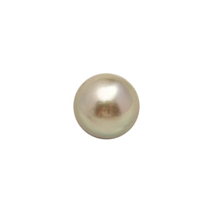 1pcs Creamy White 9.9mm - BQ AA Quality Tahitian Pearl Single LP2574 LP3
