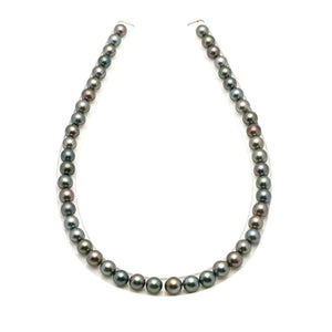 48pcs Multicolor 8-9mm - SR AAA/AA Quality Tahitian Pearl Necklace NL1800 LP5