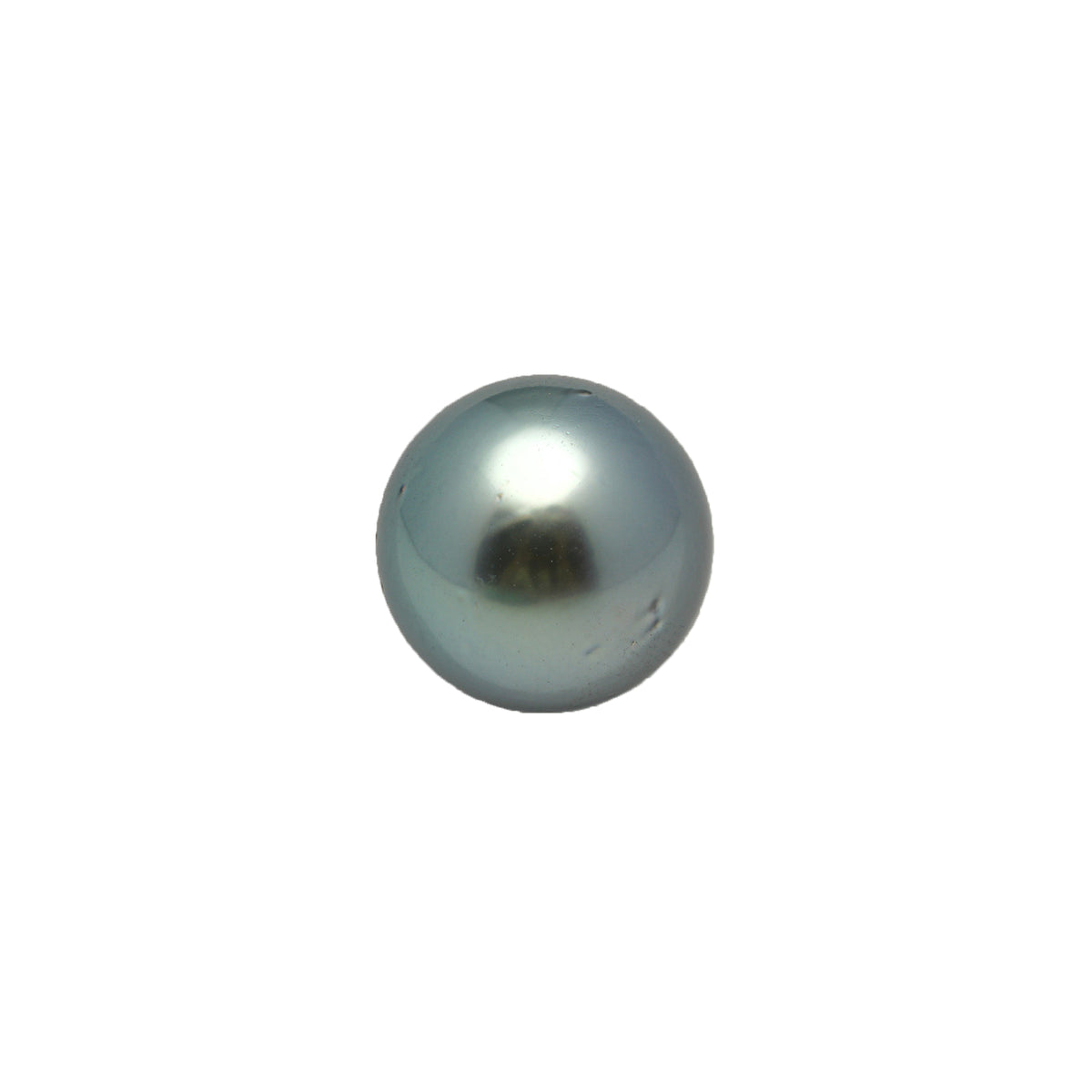 1pcs Blue Green 13.1mm - RSR AA Quality Tahitian Pearl Single LP2590 LP5