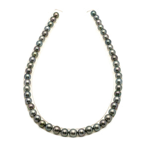 49pcs Multicolor 8-10mm - SR AAA/AA Quality Tahitian Pearl Necklace NL1805 LP5
