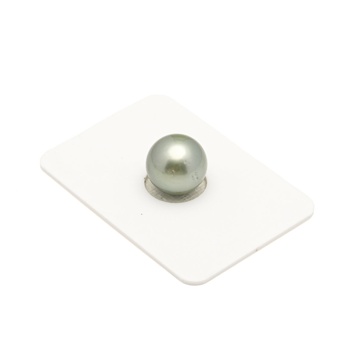 1pcs Light Green 12.1mm - RSR AA Quality Tahitian Pearl Single LP2592 LP5