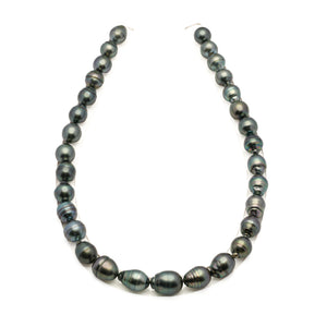 31pcs Blue 11-13mm - SB/CL AAA Quality Tahitian Pearl Necklace NL1807 LP5