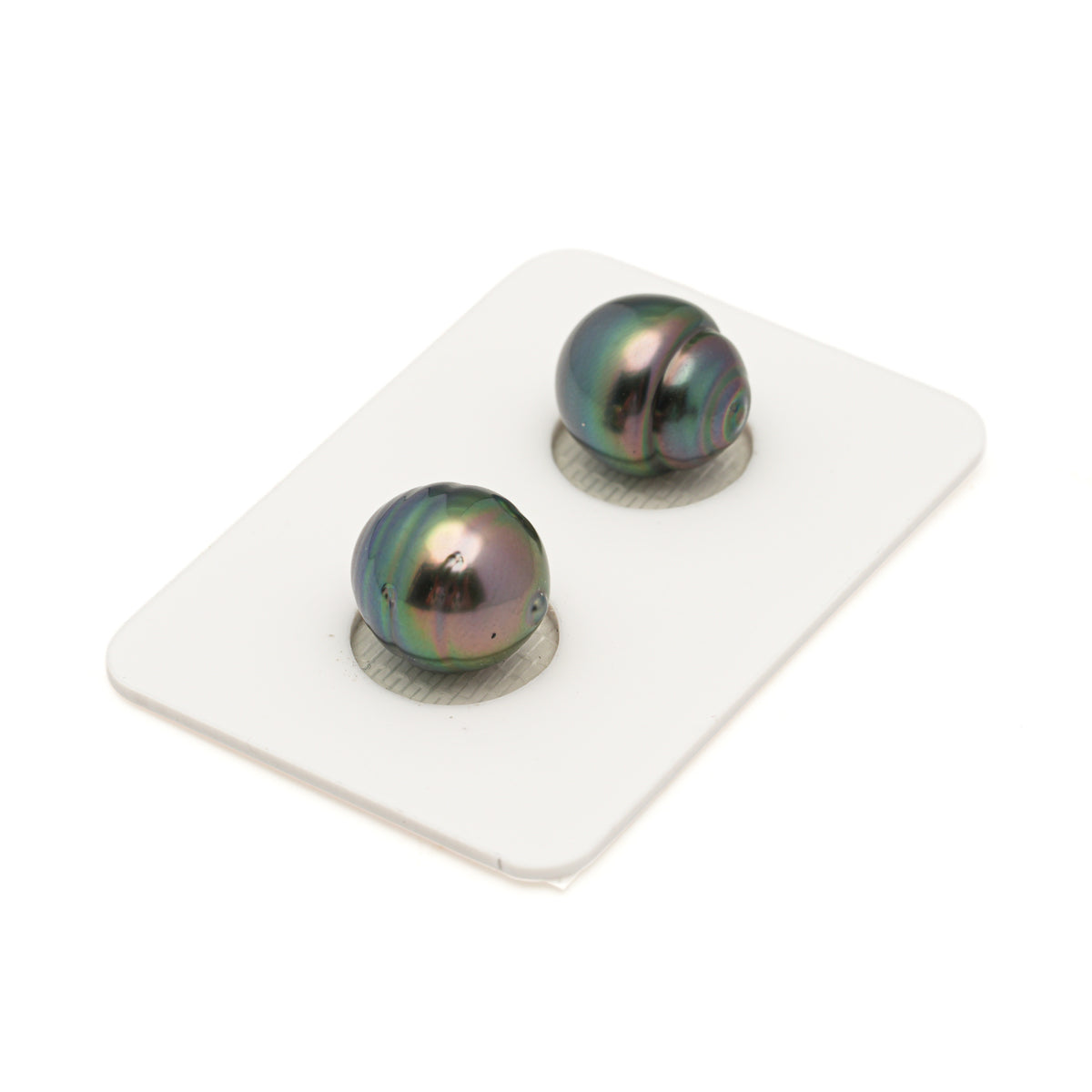 2pcs Peacock 11-11.1mm - SB/CL AAA Quality Tahitian Pearl Pair ER1996 LP5 LP5