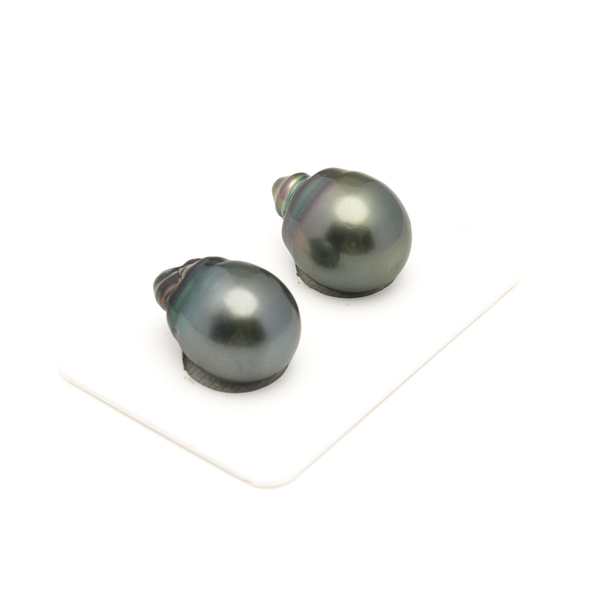 2pcs Green 13.5-13.9mm - SBQ AAA Quality Tahitian Pearl Pair ER1991 LP5