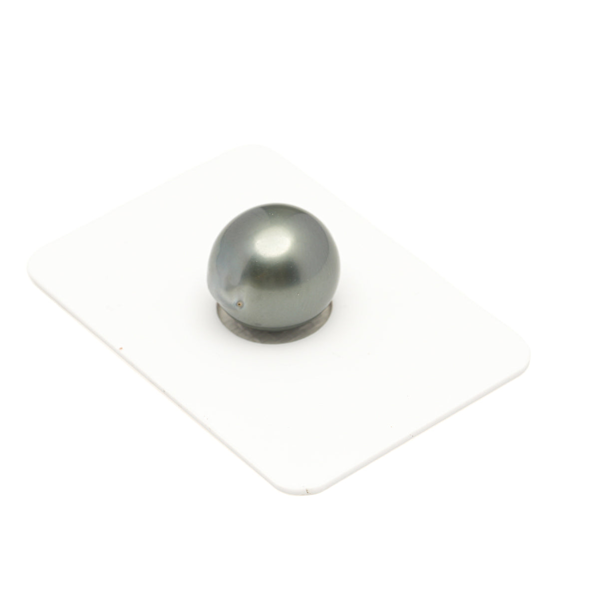 1pcs "Mid Luster" Olive Green 13.6mm - SB TOP/AAA Quality Tahitian Pearl Single LP2608 LP5