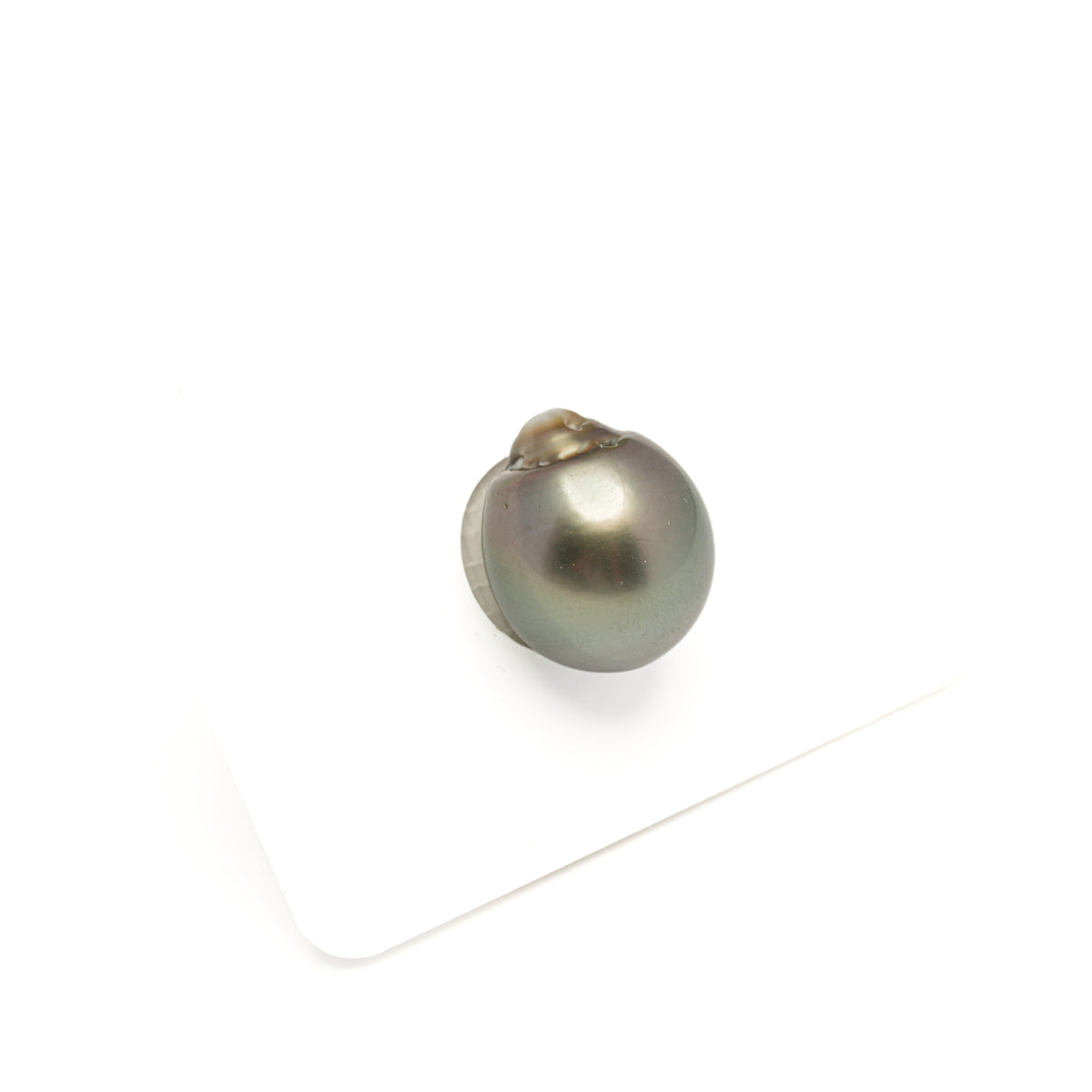 1pcs Olive Green 13.3mm - SB AAA Quality Tahitian Pearl Single LP2609 LP5