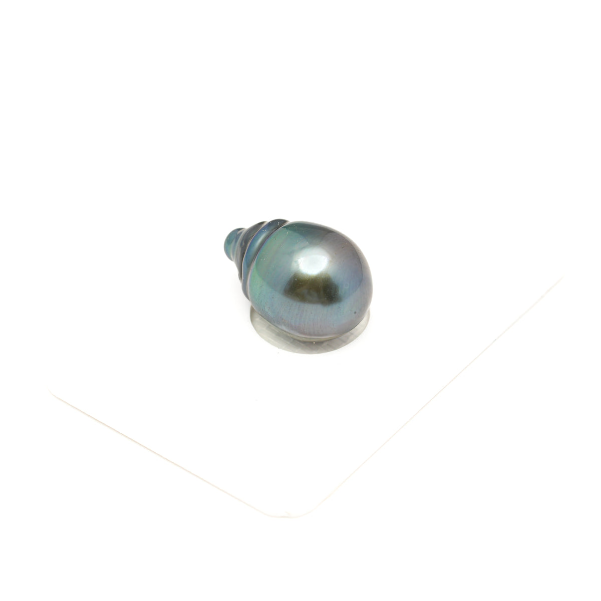 1pcs Blue Green 11.8mm - SB/CL AAA/AA Quality Tahitian Pearl Single LP2606 LP5