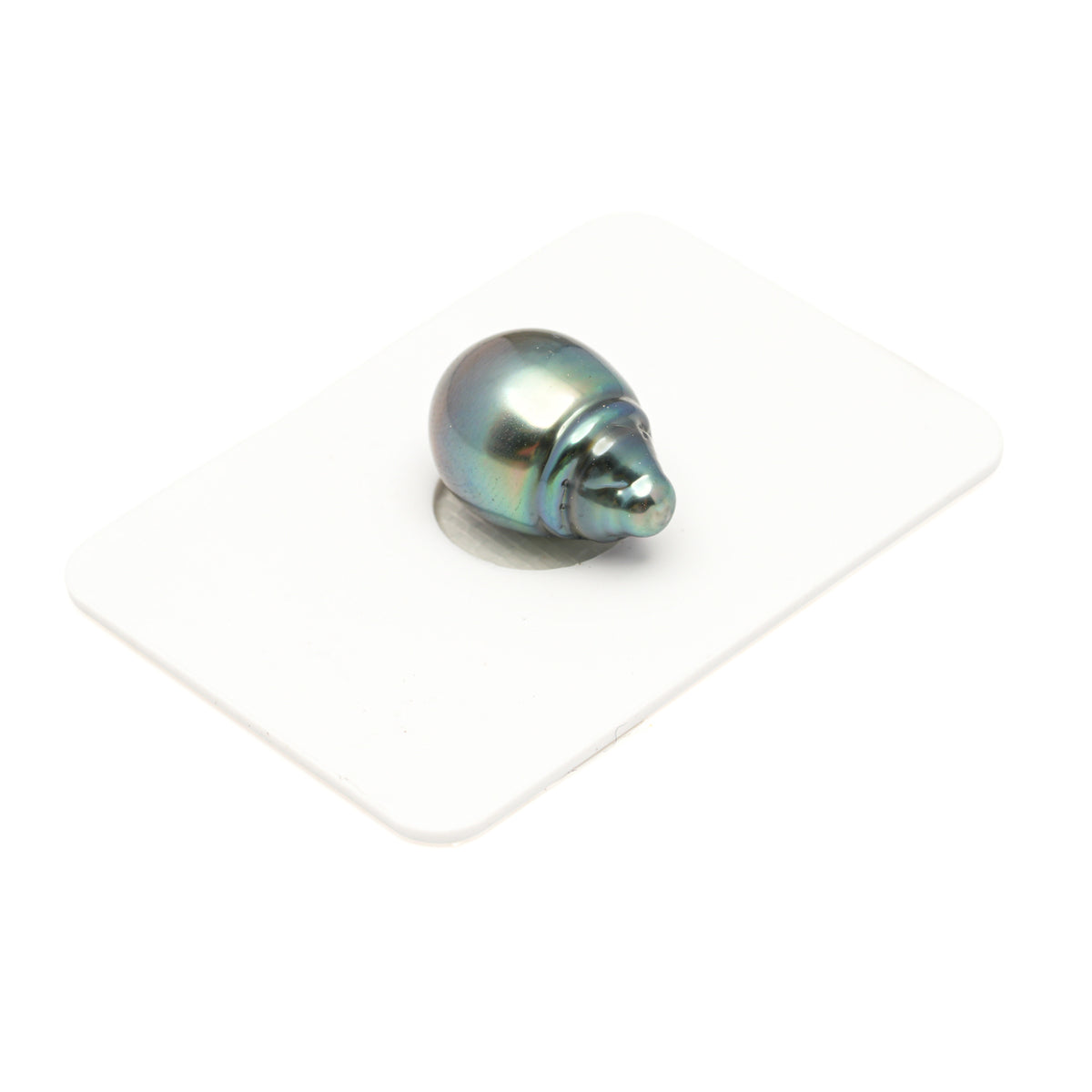 1pcs Blue Green 11.8mm - SB/CL AAA/AA Quality Tahitian Pearl Single LP2606 LP5
