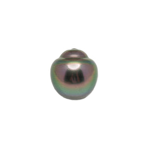 1pcs Peacock 11.6mm - SB AAA Quality Tahitian Pearl Single LP2612 LP5