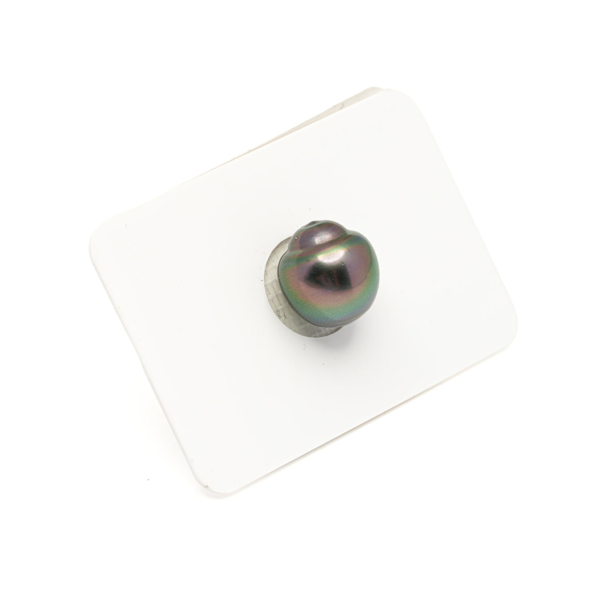 1pcs Peacock 11.6mm - SB AAA Quality Tahitian Pearl Single LP2612 LP5
