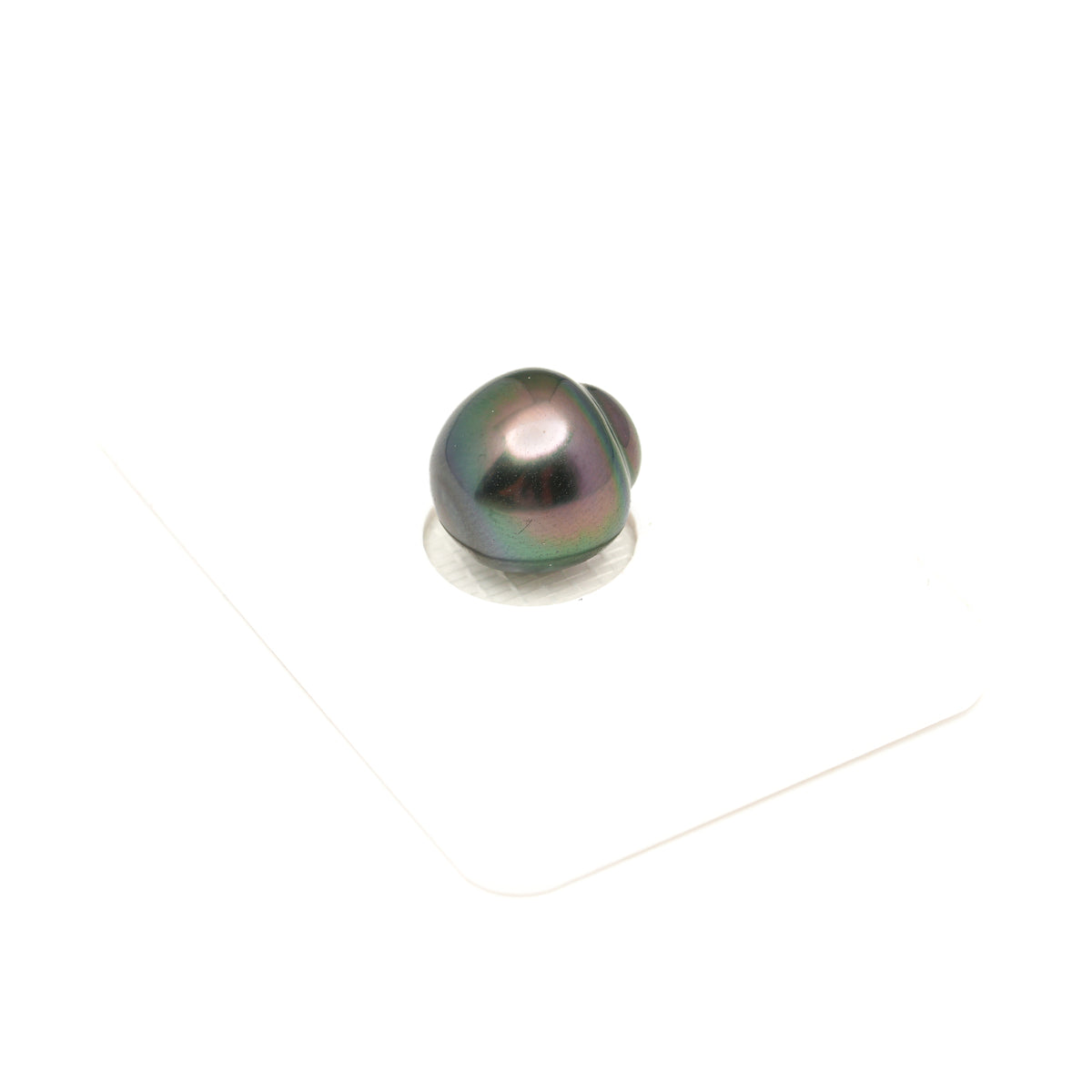 1pcs Peacock 11.6mm - SB AAA Quality Tahitian Pearl Single LP2612 LP5