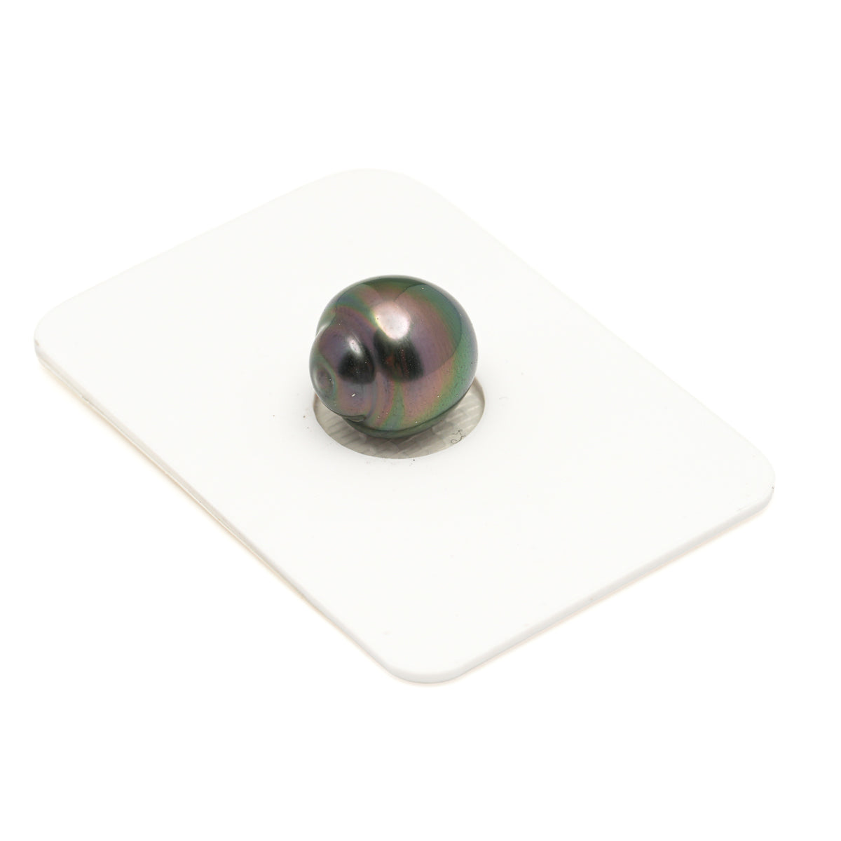 1pcs Peacock 11.6mm - SB AAA Quality Tahitian Pearl Single LP2612 LP5
