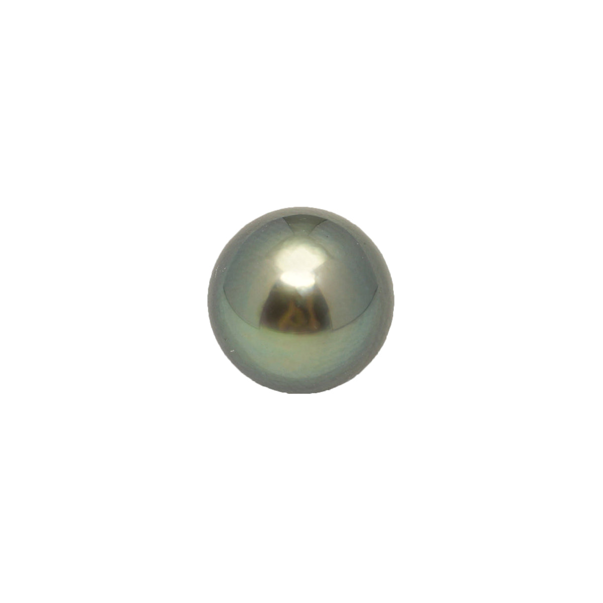 1pcs Green 11mm - SR/NR AAA Quality Tahitian Pearl Single LP2588 LP5