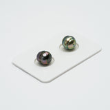 2pcs Peacock Mix 8.3-8.9mm - CL AAA/AA Quality Tahitian Pearl Pair ER1133