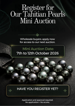 Wholesale Auction Bidding Deposit