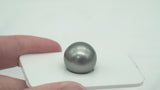 1pcs Grey Single Pearl - SR 14.4mm AAA quality Tahitian Pearl LP575