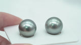 2pcs Gray Color Matched Pair - SR 13mm AAA quality Tahitian Pearl Earrings ER286