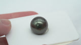 Dark Single Pearl - Round 12.6mm AAA/AA quality Tahitian Pearl