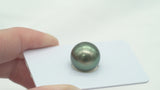 Olive Green Single Pearl - Round 13.3mm AA quality Tahitian Pearl