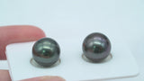 Dark Matched Tahitian Pearl Pair - RSR 11mm AAA/AA quality ER489