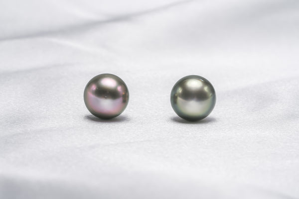 “Gift-12” Earrings - Limited Tahitian Pearls Jewelry - Loose Pearl jewelry wholesale