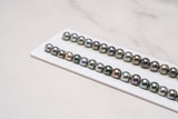 Tahitian Pearls 