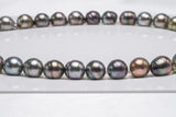35pcs "Tunnel" Mix Necklace - Circle 11mm AAA/AA quality Tahitian Pearl - Loose Pearl jewelry wholesale