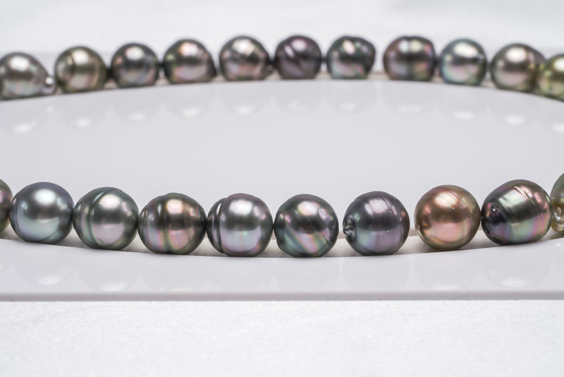 35pcs "Tunnel" Mix Necklace - Circle 11mm AAA/AA quality Tahitian Pearl - Loose Pearl jewelry wholesale