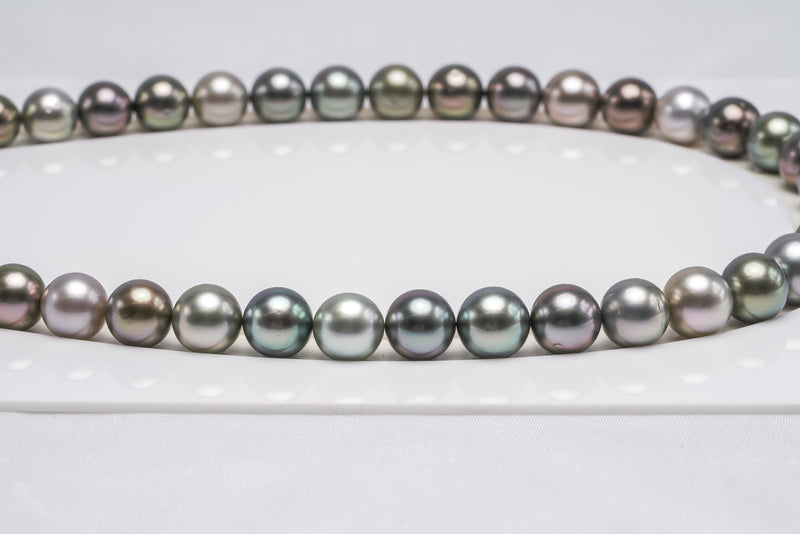 42pcs "Rob" Multi Necklace - Round/Semi-Round 10mm AAA/AA/A quality Tahitian Pearl - Loose Pearl jewelry wholesale