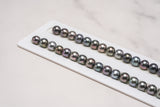 Tahitian Pearls 
