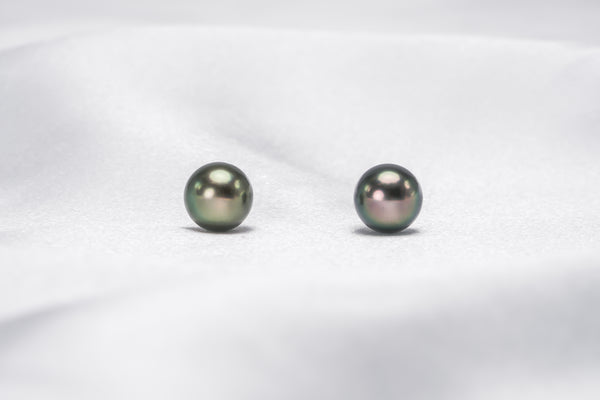 “Gift-11” Earrings - Limited Tahitian Pearls Jewelry - Loose Pearl jewelry wholesale