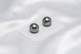 Blue Green Matched Pair - Round/Semi-Round 11mm AA quality Tahitian Pearl - Loose Pearl jewelry wholesale