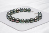 Tahitian Pearls 